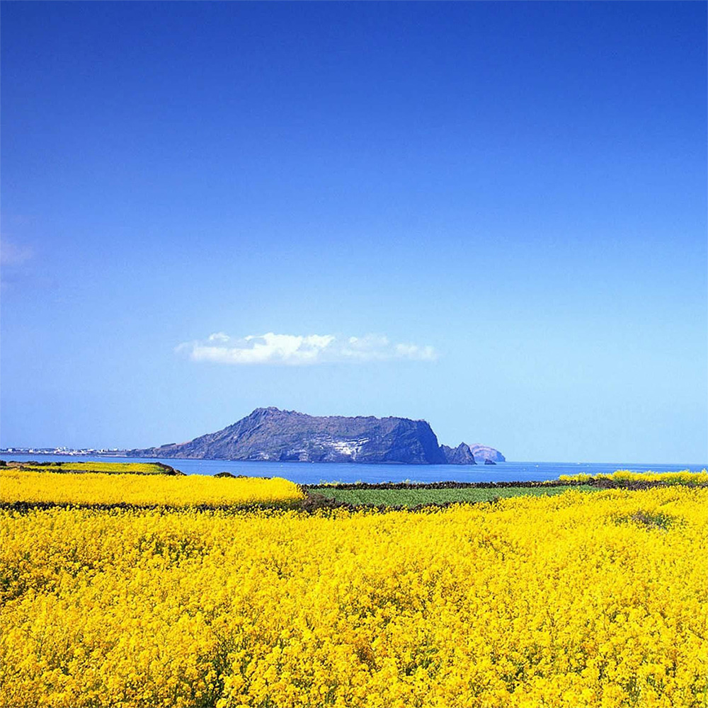 标题名称